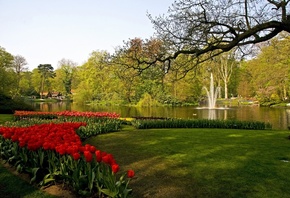 ����������, ����, ��������, ����, Keukenhof Lisse, �����, �������, ������,  ...