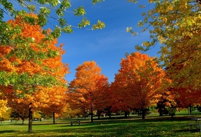 �����, ����, �������, �����, ����, ������, �������, �������