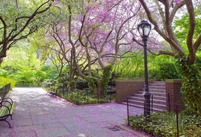 ����, �������, �����, �������, ������, ��������, �������, ������, �������