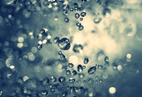 �����, ����, �����, ����