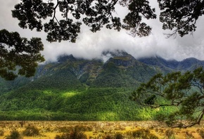 ����� ��������, ����, ���, Southland, �������