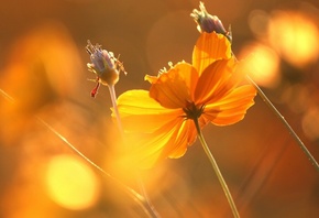 �����, ������, ���, �����, ���, �������