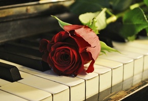 music, piano, �������, ����