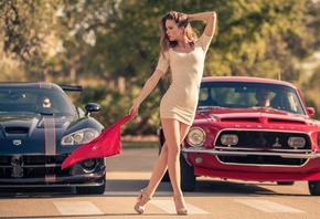 FORD MUSTANG SHELBY, DODGE VIPER, , 