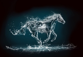 ����, ���, �������, ������, ����, ������ ���