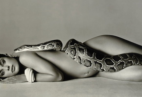 girl, erotic, nice, Snake, 