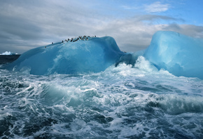 природа, айсберг, океан, пингвины, лед, антарктида, небо, облака, волна, бр ...