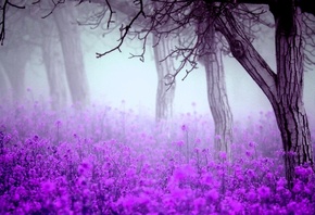 �����, ����, �����, �����, �������, ������