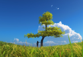 ����, ������, ����, ������