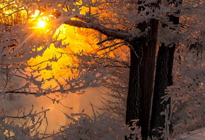 ����, ����, �������, �����, ������, ���, �������