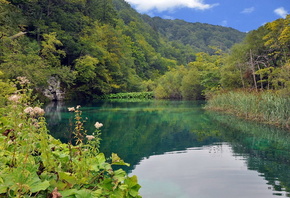 Хорватия, Плитвицкие озера, красота, зелень, озеро, лес