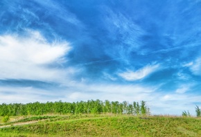небо, поле, солнце, облака, облако, зелень, трава, дерево, деревья, лето, ж ...