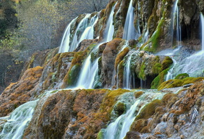 �����, ���������� �������, �������, ���, �������