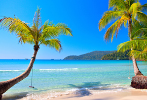 tropical, paradise, beach, coast, ocean, palm, summer, , , ,  ...
