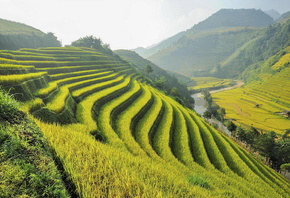 �������, ������, ���, ����, ������, �������