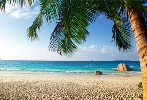 природа, лето, пляж, тропики, красиво, океан, tropical, paradise, beach, pa ...