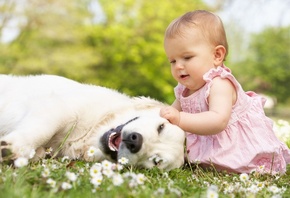 ребенок, девочка, малышка, собака, дружба, фото, позитив, природа, цветы, с ...
