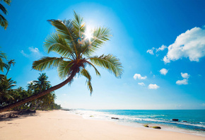природа, тропики, лето, пляж, пальмы, океан, небо, солнце, tropical, summer