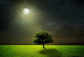 природа, фотошоп, дерево, ночь, фэнтези, луна, облака