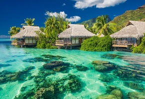 курорт, тропики, отдых, рай, tropical, paradise, beach, palms, sea, ocean,  ...