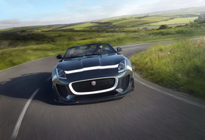 Jaguar, �����, ���� ���, �������, ��������, �������