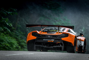 McLaren, ��������, ���� ���, �������