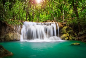 природа, тропики, водопад, река, деревья, джунгли, свет, солнца, красиво, л ...