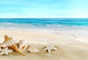 пляж, лето, ракушки, красиво, океан, песок, фотошоп, отдых, рай, beach, sum ...