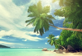 тропики, лето, Сейшельские острова, сейшелы, индийский, океан, красиво, рай ...