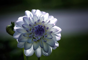 ������, �������, �����, �������, ��������, �����, �����