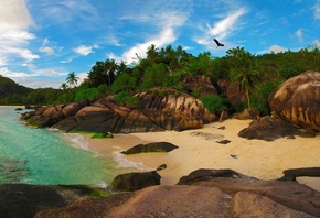 природа, острова, океан, пляж, скалы, сейшелы, сейшельские острова, джунгли ...