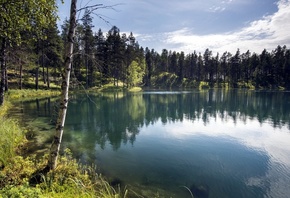 природа, озеро, лес, рыбалка, береза, небо, отдых, отражение