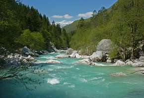 река Соча, река, лес, камни, небо, зелень, красота