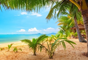 природа, тропики, пляж, пальмы, океан, горы, красиво, отдых, курорт, небо,  ...