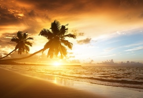 лето, пляж, пальмы, небо, солнце, закат, море, фотошоп