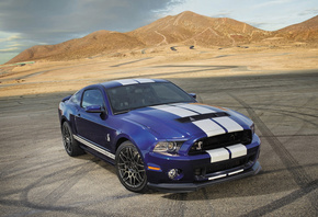 ford, shelby, gt500, , , , , , ,  ...