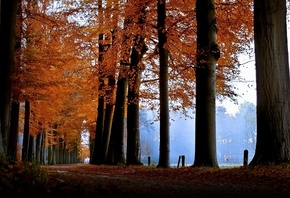 �������, ��������, ������, �����