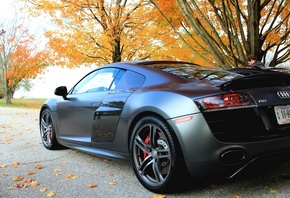 Audi R8 V10, ,  , 