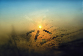 ������, ����, ����������, ��������, ����, ����