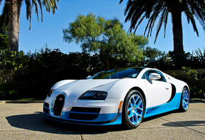 bugatti, veyron, Vitesse, , , , , 