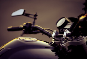 ��������, ����, �����