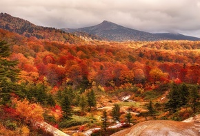 осень, горы, лес, красиво, желтый фон, небо, пасмурно