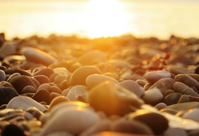 ����, �����, ������, ����, ���, ����, �����, ����, �����, �������