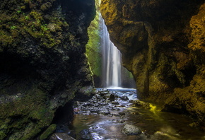 �������, �����, �����, ���, �������, ������