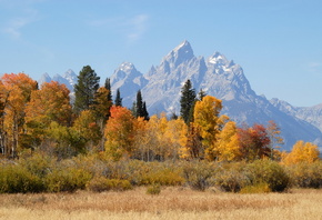 �����, ����, ����, �������, �������