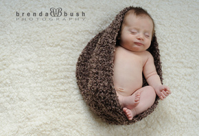 �����, ����, ������