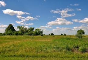 ������, ����, �������, ������ �����, ������, clouds, sky, nature, sun, green glass, glass