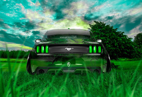 Tony Kokhan, Ford, Mustang, GT, Crystal, Car, Nature, Muscle, Green, Grass, ...