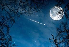 природа, деревья, небо, вечер, звезды, луна, комета