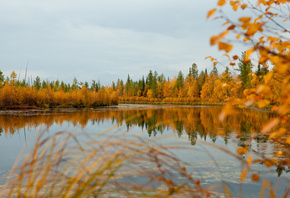 природа, осень, река, озеро, деревья
